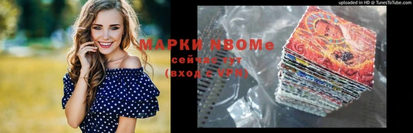 мдпв Богородск