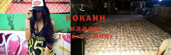 мдпв Богородск