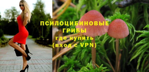 метамфетамин Богданович
