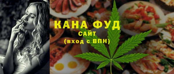 мдпв Богородицк