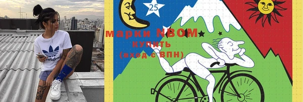 мдпв Богородицк